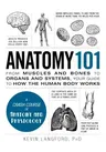 Anatomy 101: From Muscles and Bones to Organs and Systems, Your Guide to How the Human Body Works