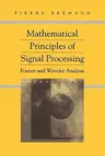 Mathematical Principles of Signal Processing: Fourier and Wavelet Analysis