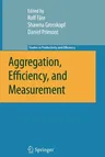 Aggregation, Efficiency, and Measurement (2007)