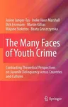 The Many Faces of Youth Crime: Contrasting Theoretical Perspectives on Juvenile Delinquency Across Countries and Cultures (2012)