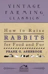 How To Raise Rabbits For Food And Fur