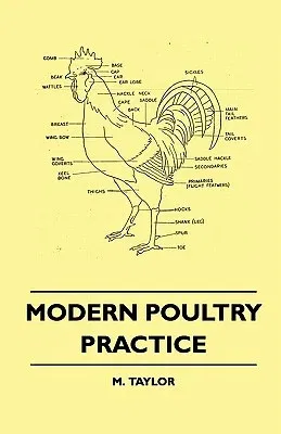 Modern Poultry Practice