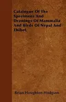 Catalogue of the Specimens and Drawings of Mammalia and Birds of Nepal and Thibet.