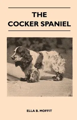 The Cocker Spaniel - Companion, Shooting Dog And Show Dog - Complete Information On History, Development, Characteristics, Standards For Field Trial And B