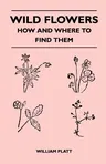 Wild Flowers - How and Where to Find Them