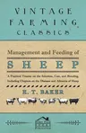 Management and Feeding of Sheep - A Practical Treatise on the Selection, Care, and Breeding, Including Chapters on the Diseases and Ailments of Sheep