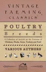 Poultry Breeds - A Collection of Articles on the Varieties of Chickens, Ducks, Geese, Turkeys and Fowl