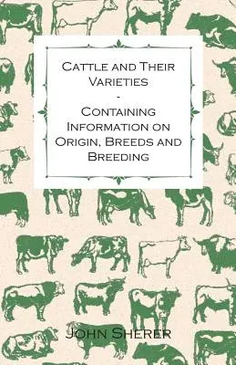 Cattle and Their Varieties - Containing Information on Origin, Breeds and Breeding