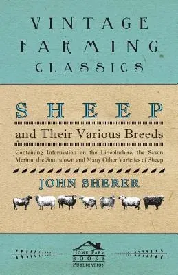 Sheep and Their Various Breeds - Containing Information on the Lincolnshire, the Saxon Merino, the Southdown and Many Other Varieties of Sheep