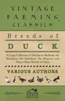 Breeds of Duck - A Large Collection of Articles on Mallards, the Mandarin, the Aylesbury, the Muscovy and Many Other Breeds of Duck