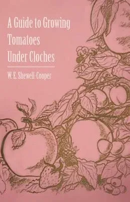 A Guide to Growing Tomatoes Under Cloches