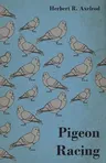 Pigeon Racing