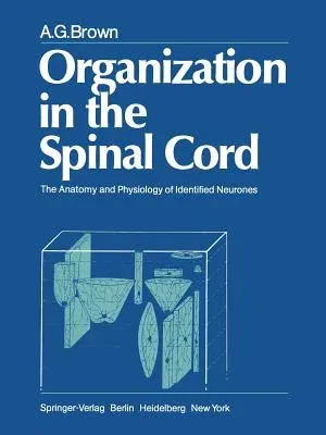 Organization in the Spinal Cord: The Anatomy and Physiology of Identified Neurones (Softcover Reprint of the Original 1st 1981)