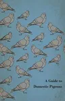 A Guide to Domestic Pigeons - With Chapters on Doves, Training and Their Habits