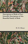 Descriptions of Birds of Prey - Scientific Descriptions of This Beautiful Family of Birds