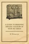 A Guide to Breeding Specific Colours in Your Pet Birds