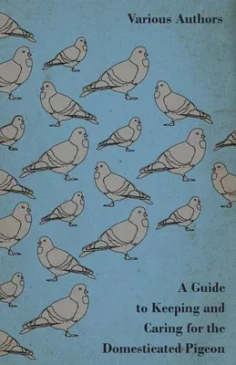 A Guide to Keeping and Caring for the Domesticated Pigeon