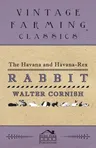 The Havana and Havana-Rex Rabbit