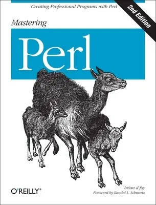 Mastering Perl: Creating Professional Programs with Perl