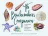 The Beachcomber's Companion: An Illustrated Guide to Collecting and Identifying Beach Treasures (Watercolor Seashell and Shell Collecting Book, Bea