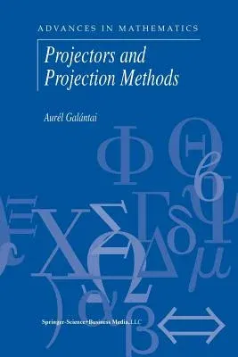 Projectors and Projection Methods (2004)