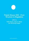 Protein Kinase Ck2 -- From Structure to Regulation (Softcover Reprint of the Original 1st 2001)