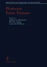 Posterior Fossa Tumors (Softcover Reprint of the Original 1st 1993)