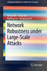 Network Robustness Under Large-Scale Attacks (2013)