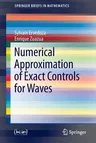 Numerical Approximation of Exact Controls for Waves (2013)