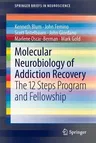 Molecular Neurobiology of Addiction Recovery: The 12 Steps Program and Fellowship (2013)