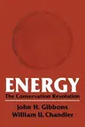 Energy: The Conservation Revolution (Softcover Reprint of the Original 1st 1981)