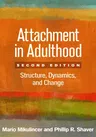 Attachment in Adulthood: Structure, Dynamics, and Change