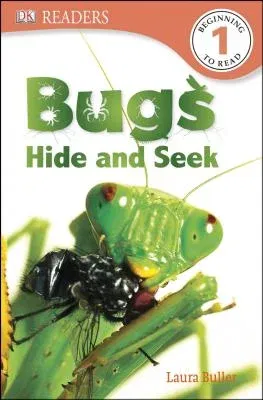 Bugs Hide and Seek