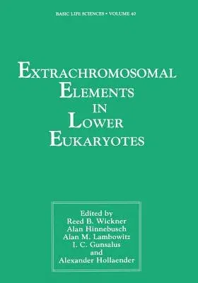 Extrachromosomal Elements in Lower Eukaryotes (1986)