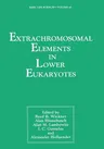 Extrachromosomal Elements in Lower Eukaryotes (1986)