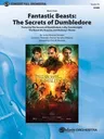 Fantastic Beasts -- The Secrets of Dumbledore: Featuring: The Secrets of Dumbledore / Lally / Countersight / The Room We Require / Hedwig's Theme, Con