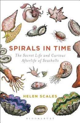 Spirals in Time: The Secret Life and Curious Afterlife of Seashells