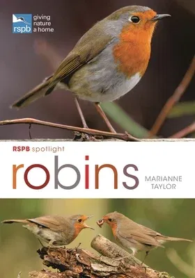 Rspb Spotlight: Robins