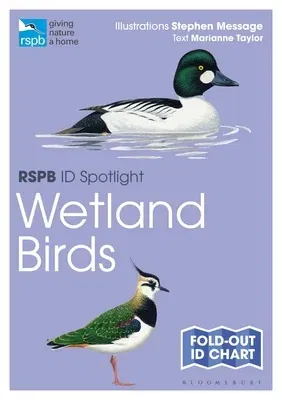 Rspb Id Spotlight - Wetland Birds