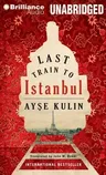 Last Train to Istanbul