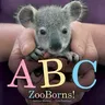 ABC Zooborns! (Reprint)