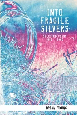 Into Fragile Silvers: Selected Poems 1983 - 2006