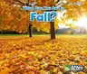 What Can You See in Fall?