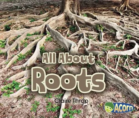 All about Roots (Revised)