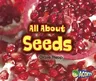 All about Seeds (Revised)