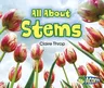 All about Stems (Revised)