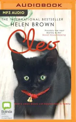 Cleo: How a Small Black Cat Helped Heal a Family