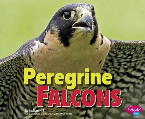 Peregrine Falcons