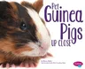 Pet Guinea Pigs Up Close