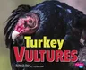 Turkey Vultures